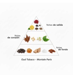 OUD Tabak - Montale Paris Gratis advies en zendingen!