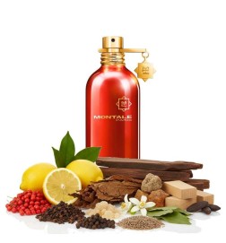 odbacco  -  Montale Paris 免费咨询和出货量！