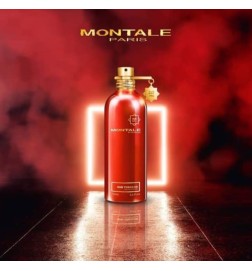 odbacco  -  Montale Paris 免费咨询和出货量！