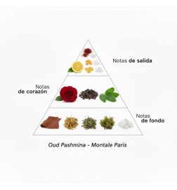Oud Pashmina - Montale Paris Consigli e spedizioni gratuiti!