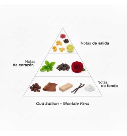 Oud-editie - Montale Paris | Parfumerie Laura - Gratis verzending