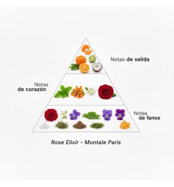Elixir rosa - Montale Paris Consigli e spedizioni gratuiti!
