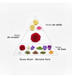 Roses Musk - Montale Paris