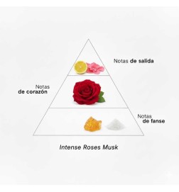 Rosas intensas musk - Montale Paris
