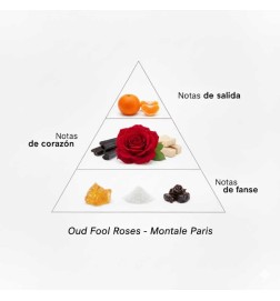 Oud Fool Roses - Montale Paris Gratis advies en zendingen!