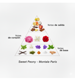 Peônia doce - Montale Paris