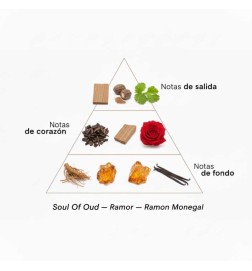 Soul Oud Extrait de Parfum - Ramon Monegal