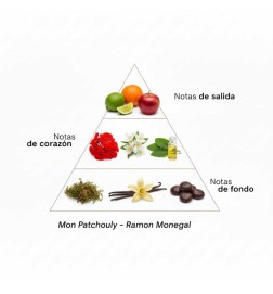 Mon patchay esp - Ramon Monegal Spedizione gratuita!