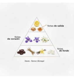 Siesta EDP - Ramon Monegal
