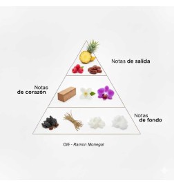 Olé EDP - Ramon Monegal