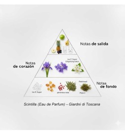 Scinttilla - Giardini di Toscana Livraison gratuite!